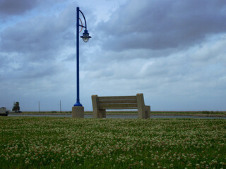 Streetlamp by an empty bench surrounded by green plants. Lake Pontchartrain, New Orleans, Louisiana.