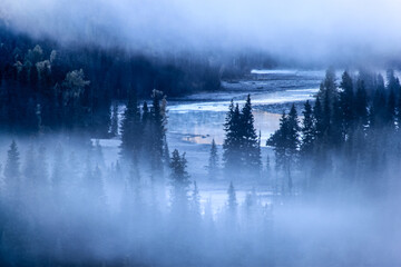 Kanas River flowing in dense forest covered with fog in the early morning, Altay , Xinjiang, China - obrazy, fototapety, plakaty