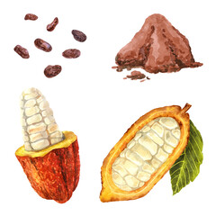 Watercolor cocoa collection isolated on white background. Beans, cocoa powder, cocoa fruit with grains and leaf