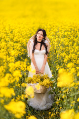 Naklejka na ściany i meble young beautiful woman in a field with a large basket of yellow flowers. A girl in a long white dress collects rapeseed