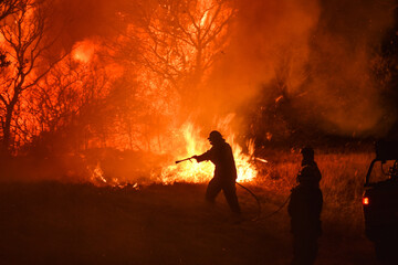 Bomberos trabajando durante un incendio forestal. Fuego y llamas amenazan el bosque, los arboles y...