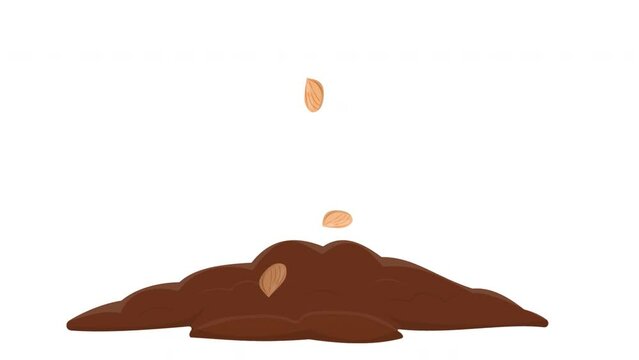 Plant seeds. Animation of sowing plant seeds, alpha channel is turned on. Cartoon