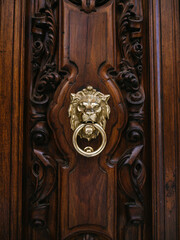 Luxurious wooden door with gold lion head knocker