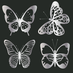 Obraz premium silver butterflies silhouette, on a black background, isolated, vector