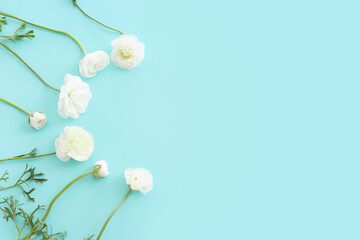 Top view image of white flowers composition over blue pastel background
