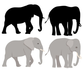 elephant black silhouette, on white background, isolated, vector