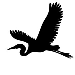 flying crane black silhouette, on a white background, isolated, vector