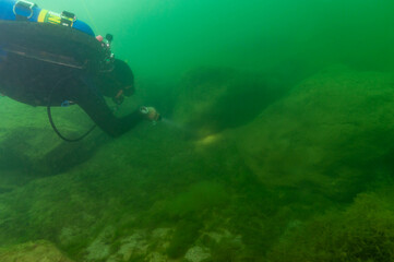 SCUBA diver exploring a cloudy inland lake and boulders with a diving torch