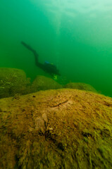 SCUBA diver exploring a murky inland lake with large boulders