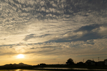 初夏の田園風景（夕暮れ）
