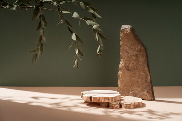 Composition empty podium material tree stone dry flowers. Product presentation. Background beige green. Beautiful background from natural materials. - obrazy, fototapety, plakaty