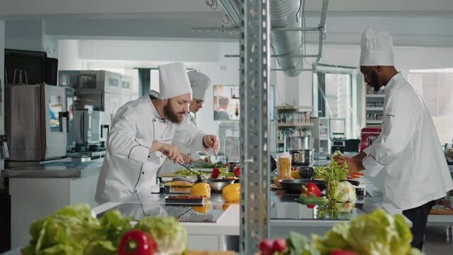 Authentic chef cooking gourmet meal with salad and vegetables, using fresh ingredients in frying pan on stove. Male cook adding sliced celery on cooked food to make delicious recipe.