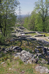 Fototapeta na wymiar Tremona-Castello archaeological Park in Switzerland