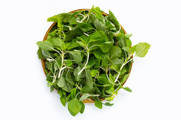 Green spinach on white background. Top view