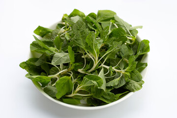 Green spinach on white background.
