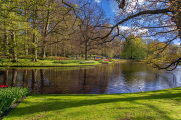 Fototapeta na wymiar Pond in Keukenhof garden, Netherlands