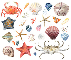 Watercolor illustration set of sea shells, starfish, crabs, sea stones