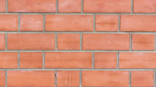 The photo depicts the red brick background