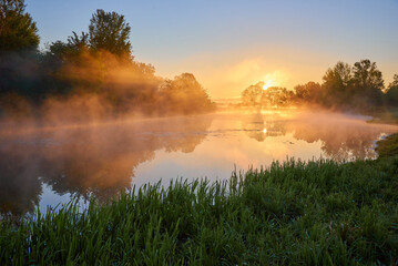 Fototapeta na wymiar morning sunny mist over the river in Ukraine