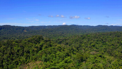 Obraz premium Landscape of Amazon