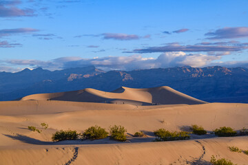 Fototapeta na wymiar Mesquite Flat Sand Dunes in Death Valley National Park, California, United States of America