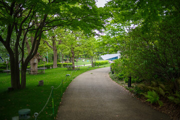 緑が美しい公園の小径