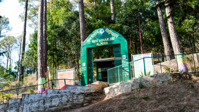 Famous tourist place called Mrig Vihar Zoo, Deer Park, Almora