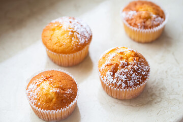 Sweet muffins with powdered sugar and blossoms. Homemade bakery. Muffins in white capsules decorated with fruit tree flowers.