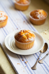 Sweet muffins with powdered sugar and blossoms. Homemade bakery. Muffins in white capsules decorated with fruit tree flowers.