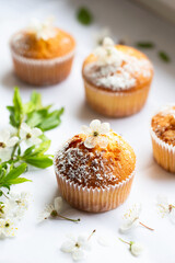 Sweet muffins with powdered sugar and blossoms. Homemade bakery. Muffins in white capsules decorated with fruit tree flowers.