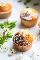 Sweet muffins with powdered sugar and blossoms. Homemade bakery. Muffins in white capsules decorated with fruit tree flowers.