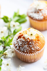 Sweet muffins with powdered sugar and blossoms. Homemade bakery. Muffins in white capsules decorated with fruit tree flowers.