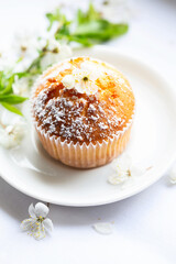 Sweet muffins with powdered sugar and blossoms. Homemade bakery. Muffins in white capsules decorated with fruit tree flowers.
