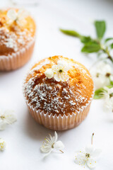Sweet muffins with powdered sugar. Homemade bakery. Muffins in white capsules.