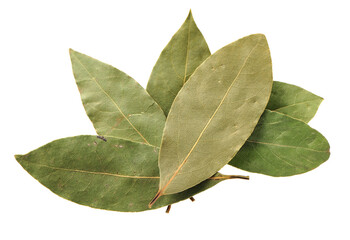 Aromatic bay leaves isolated on white background