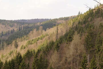 Frankenwald Weitsicht