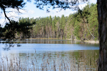 Obraz premium beautiful nature park with a lake and a cloudy cloudy day in the spring