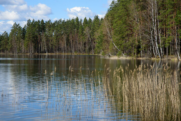 Fototapeta na wymiar beautiful nature park with a lake and a cloudy cloudy day in the spring