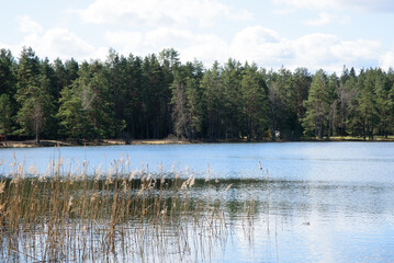 beautiful nature park with a lake and a cloudy cloudy day in the spring