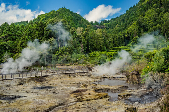 Hot and geothermal pools in activity with smoke with park and mountains with forest in the background in the famous Furnas, S&atilde;o Miguel - Azores PORTUGAL