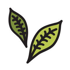 Basil , Vegetables filled outline icon.