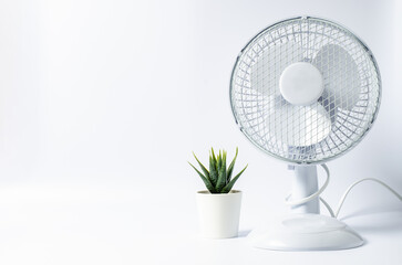 Table fan and succulent flower on white background. Cooling in the room in hot weather