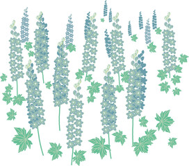 青いアルストロメリアの群生　イラスト素材
