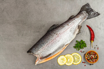 Raw trout carcass with spices and herbs on a grey stone concrete background. Sea fish, healthy food