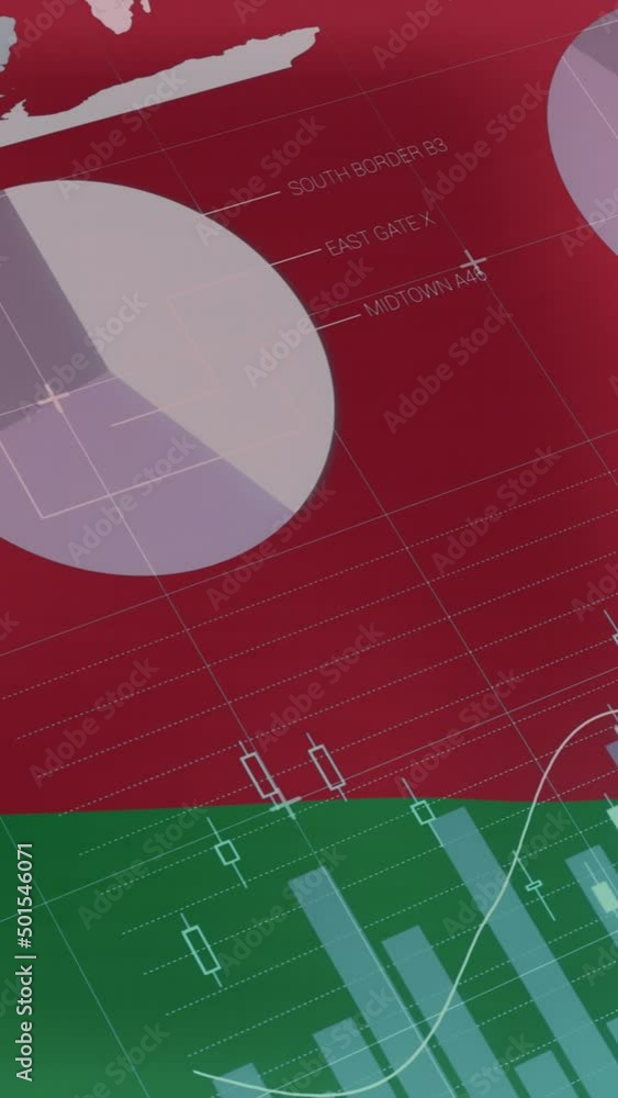 Poster animation of flag of belarus over data processing