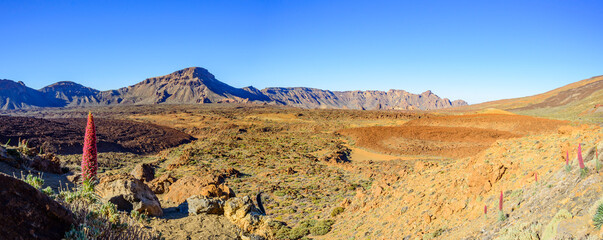 Blick über Vulkankrater im Teide Nationalpark auf der kanarischen Insel Teneriffa, Spanien © MCM