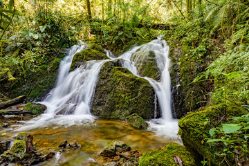 Fototapeta premium Long exposure of small wild mountain waterfall. Stunning landscape of wilderness and pure nature. San Gerardo de Dota, Costa Rica.