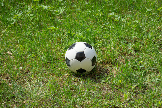 the soccer ball is on the green grass