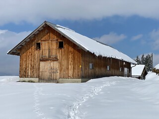 Indigenous alpine huts and wooden cattle stables on Swiss pastures covered with fresh white snow cover, Nesslau - Obertoggenburg, Switzerland (Schweiz)