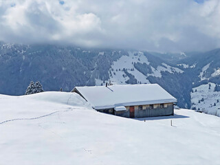 Fototapeta na wymiar Indigenous alpine huts and wooden cattle stables on Swiss pastures covered with fresh white snow cover, Nesslau - Obertoggenburg, Switzerland (Schweiz)